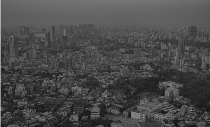 career_insights_front