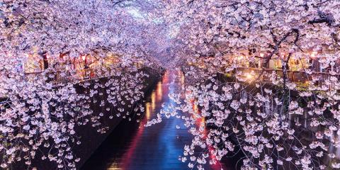 CITYWIRE: Man GLG Japan: Japanese value has been all pain, but gains are coming